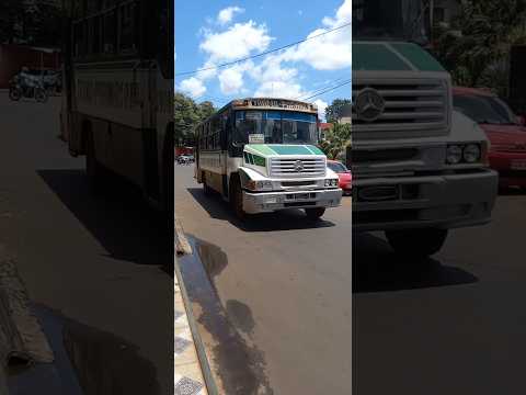 Picudo Mercedes-Benz L-1214 | Transporte Parana S.R.L Coche 1900 #paraguay #ciudaddeleste ciudaddel