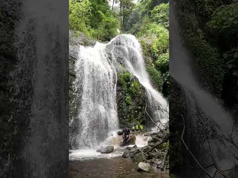PATRIMONIO NATURAL DE LA SERRANIA DEL PERÍJA( LA JAGUA DE IBIRICO, CESAR)