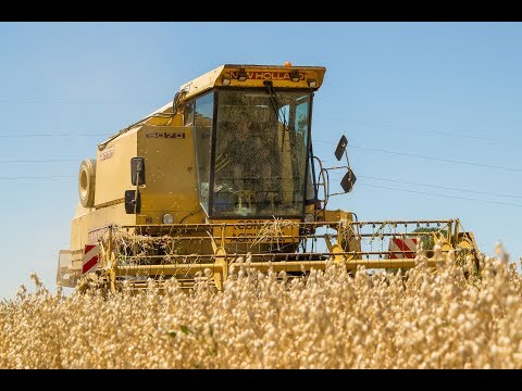 download lagu mp3 mp4 Younotus Termine, download lagu Younotus Termine gratis, unduh video klip Younotus Termine