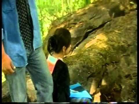 80 Xyoo Tseem Hlub 2.7