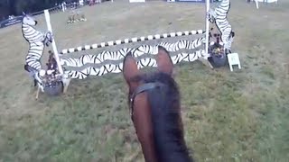 preview picture of video 'Blenheim Palace Eventer Challenge - Helmet Cam'