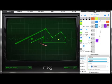 Wotja and Animoog seem to like each other - Generative Music by Scapebox