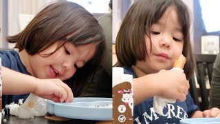Bella and Lumpia - @itsJudysLife