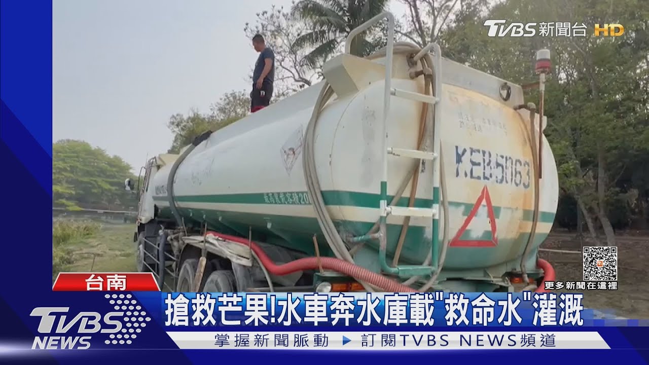 水車奔水庫載「救命水」搶救芒果 青梅久旱長不大逾2成受災