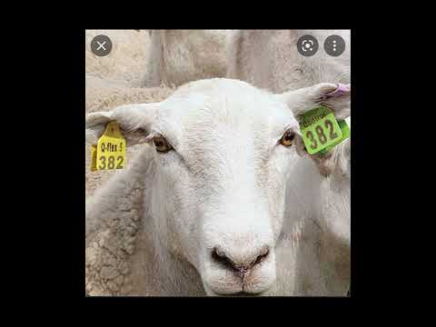 7 Major Signs 🪧 Before The End Of Time