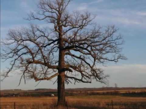 download lagu mp3 mp4 Mental Jewelry, download mp3 Mental Jewelry free download, download mp3 Mental Jewelry