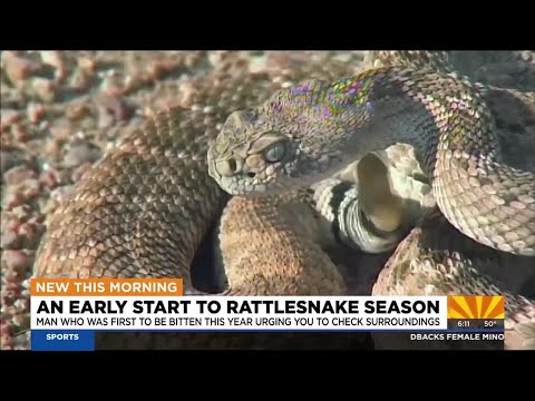 Arizona's first rattlesnake bite victim in 2025 warns others