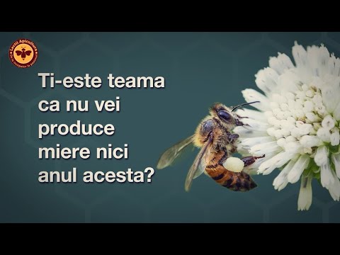 Curs de Apicultura Online