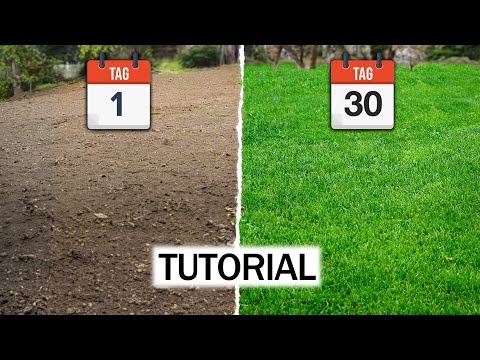 Wie sät man einen Rasen? Anfänger TUTORIAL + die FEHLERRR !!