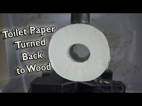 Toilet Paper Turned  Back to Solid Wood by Hydraulic Press