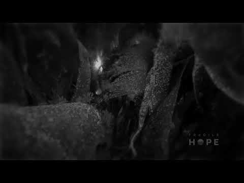 Step into my favourite office!