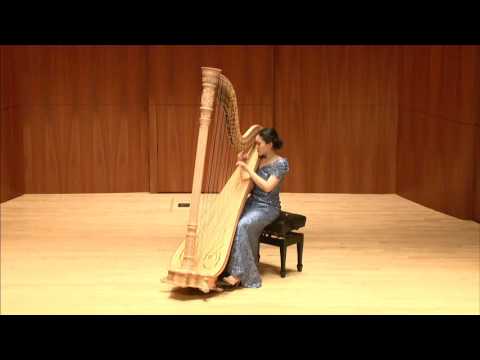 Mchedelov-Variations on a theme of Paganini