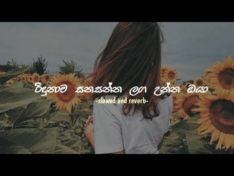 Ridunama sanasanna lagaun oya | රිදුනාම සනසන්න ලග උන්න ඔයා (slowed + reverb)
