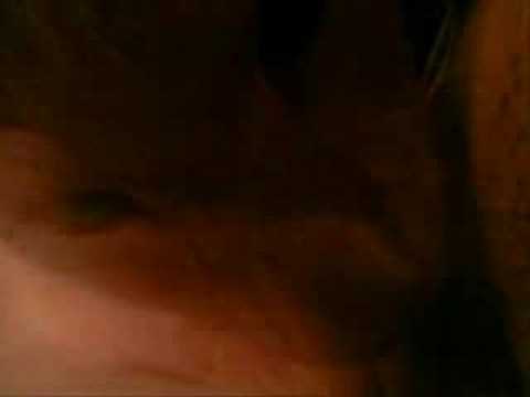 blu mar ten - suspended animations