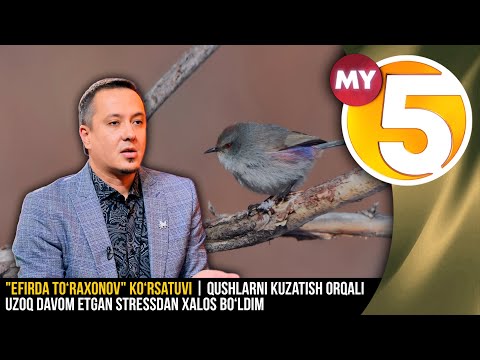 "Efirda To‘raxonov" ko‘rsatuvi | Qushlarni kuzatish orqali uzoq davom etgan stressdan xalos bo‘ldim