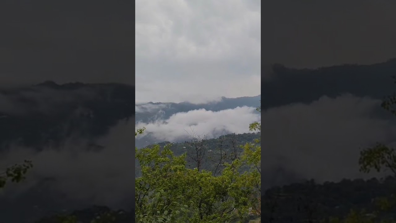 Vibes of Murree 🌲 | Greenery, Cool Weather & Pure Nature #murree