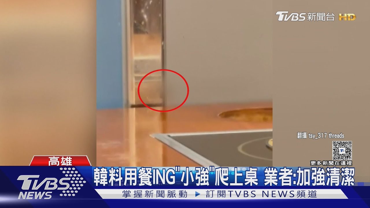 高雄韓料用餐ING 「小強」爬上桌、消費者包包 業者:加強清潔