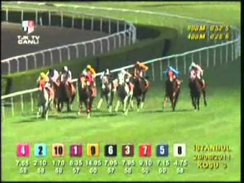 INTERNATIONAL ALI RIZA BEY STAKES (Istanbul 2011) Gr. II - 1400 m - Turf