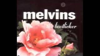 Melvins - Mary Lady Bobby Kins (lyrics)