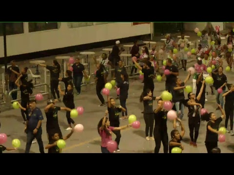 Ensaios Técnicos Carnaval SP 2018 - Barroca Zona Sul