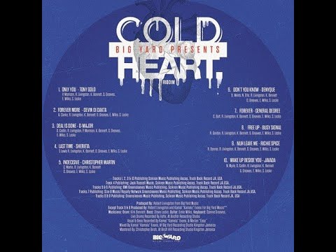 Cold Heart Riddim Lyric Video