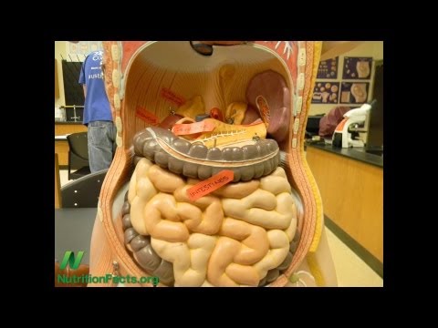 How to Counter the Inflammation of Aging