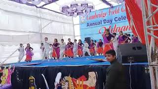 Cambridge Fields Global School Video
