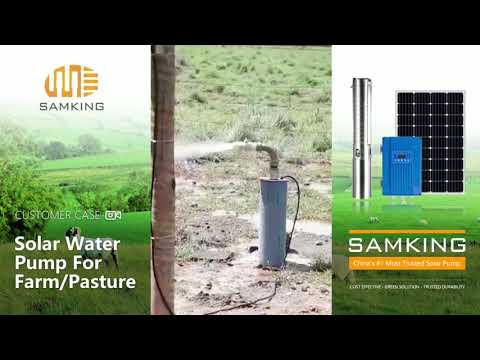 Solar submersible pumps for pastures and farms in South America | SAMKING customer case