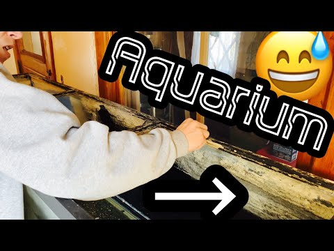Clean Old Fish Aquarium & Glass