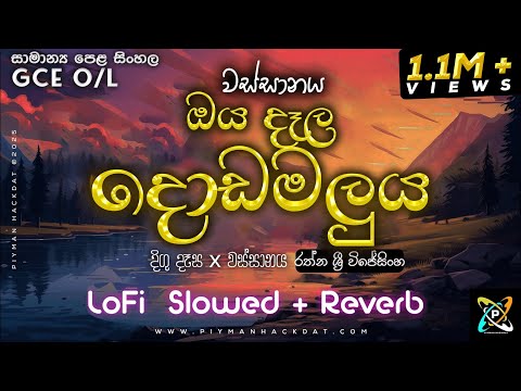 O/L Sinhala | Wassanaya - Oya dala dodamaluya | වස්සානය රත්න ශ්‍රී විජේසිංහ | Lofi SLOWED + REVERB