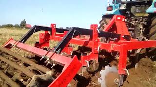 Cultivator de mirişte Dexwal GRUNT de vânzare - Imagine 4 | Agronetto MD Cultivator de mirişte Dexwal GRUNT nou | Imagine 4 - Agronetto