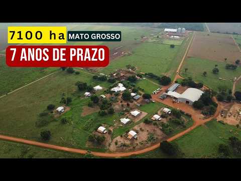 7.100 HA NO MT COM RENDA GARANTIDA POR 7 ANOS | ATIVO AGROINDUSTRIAL DE R$ 340 MILHÕES