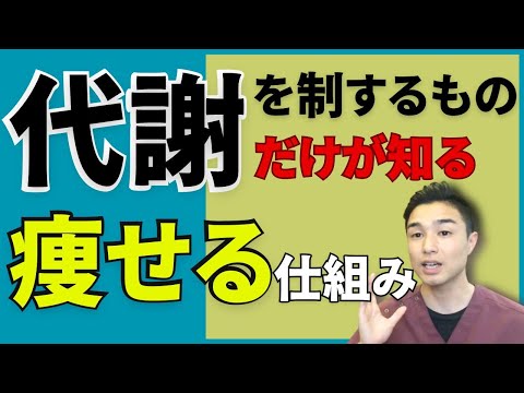 テリディ科について詳しく解説