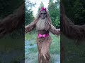 Up Close And Personal With A Sasquatch