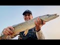 Video Thumbnail for Fishing Aggressive shoreline pike