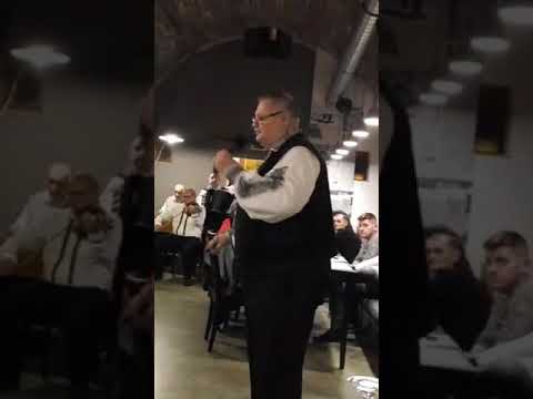 Petrică Moise și Virtuozii Banatului