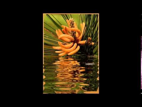 Edward Simoni - Feuertanz