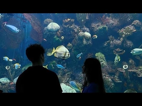 "chica tu quieres provocarme un infarto"