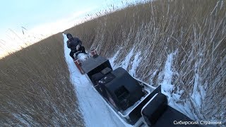 Какой клев рыбы на неделю