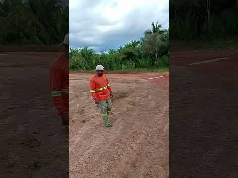 povoado piquizeiro Joca Marques Piauí