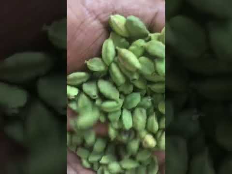 Green Elaichi Sarooja Saffron
