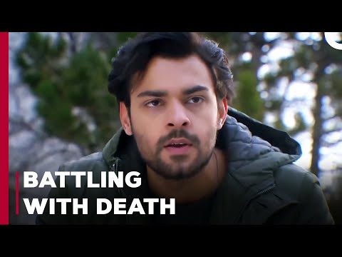 Yağız Is After The Murder Weapon - Can't Stop Loving You