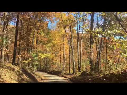 download lagu mp3 mp4 Peak Fall Foliage Virginia, download lagu Peak Fall Foliage Virginia gratis, unduh video klip Peak Fall Foliage Virginia