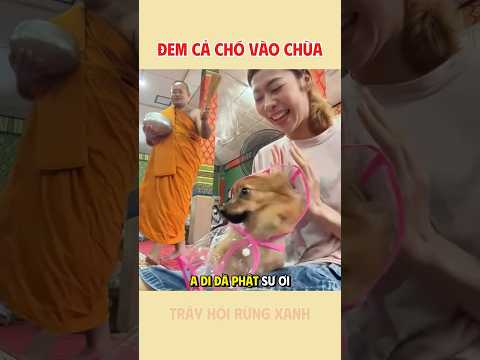 Chỉ Đi Cầu Bình An Thôi Mà Thành Tắm Luôn Rồi!