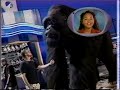 ZooG Disney Movie Surfers Go Inside Disney S Mighty Joe Young Promo December 26 1998