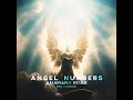 Angel Numbers Amapiano Remix By PGO X Preecie