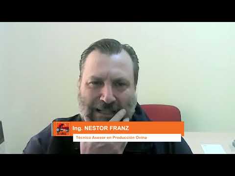 CAMBIO AGROPECUARIO” Nº 1217  –  Ing  NESTOR FRANZ - Técnico Asesor en Producción Ovina