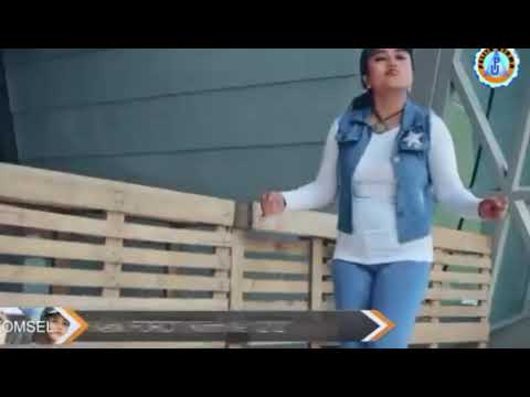 lagu bima nocu labo aru