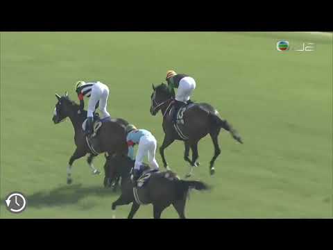 2019 日本橡樹大賽 2019 Yushun Himba G1