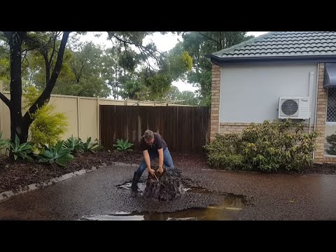 Best Drain Unclogging Compilation Extended